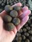Preview: maincarp-baits - Liver BPF - Premium Boilies 2.5kg